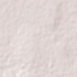 Cardonal Terrain Map