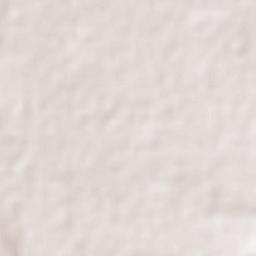 Tlaxcoapan Terrain Map