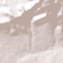 Pachuquilla Terrain Map