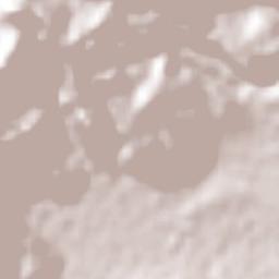 El Susto Terrain Map