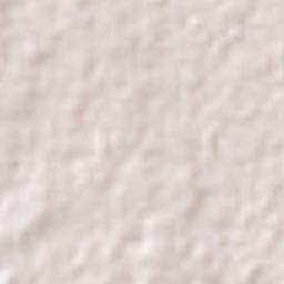 Pedregal de San José Terrain Map