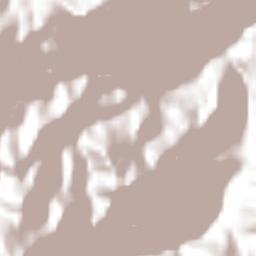 Zempoala Terrain Map