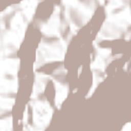 Tlaxco (Santiago Tlaxco) Terrain Map