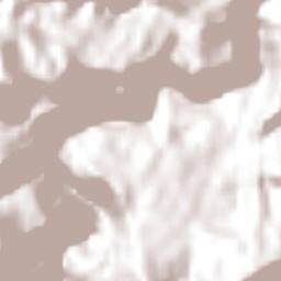 Tuzamapan Terrain Map