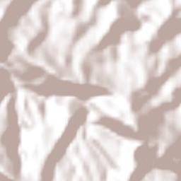 Tepetitán Reyeshogpan de Hidalgo Terrain Map