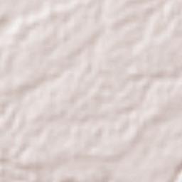 San Pedro Tlapacoyan Terrain Map