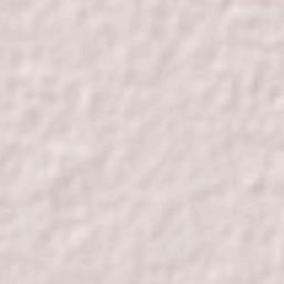 Tzucacab Terrain Map