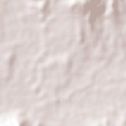 Benito Juárez Terrain Map