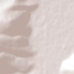 Francisco Sarabia (Cerrito Pelón) Terrain Map