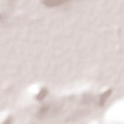 La Esperanza Terrain Map