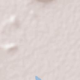 Ario de Rayón Terrain Map