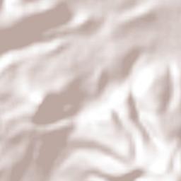 Piñícuaro Terrain Map