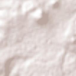 San Vicente (Calpulalpan Tercera Manzana) Terrain Map