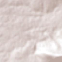 Soyaniquilpan Terrain Map