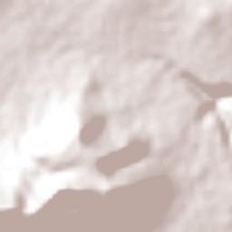 San Agustín Buenavista Terrain Map