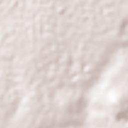 Tlamaco (San Gerónimo Tlamaco) Terrain Map