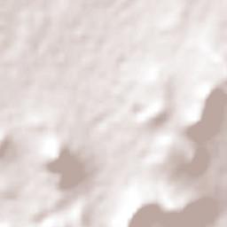 San Juan Tizahuapán Terrain Map