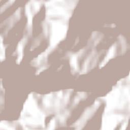 Amixtlán Terrain Map