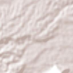 La Palmilla Terrain Map