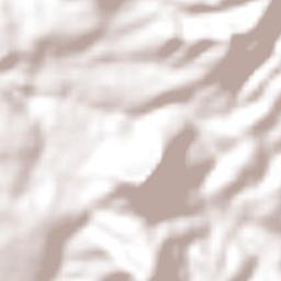 El Carrizal Terrain Map