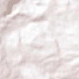 San José de Gracia Terrain Map