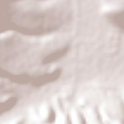 Jiquílpan de Juárez Terrain Map