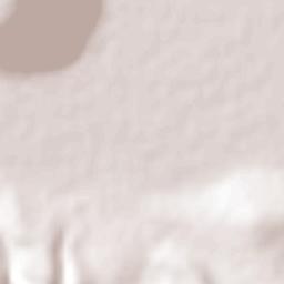 Los Remedios Terrain Map