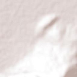 Fraccionamiento Monte Olivo Terrain Map