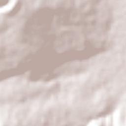 Panindícuaro Terrain Map