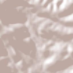 Santa María Magdalena Terrain Map