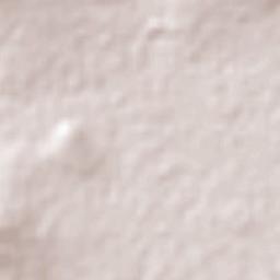 Zapotlán de Juárez Terrain Map