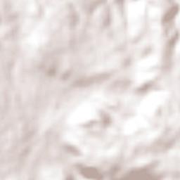 San Lorenzo Sayula Terrain Map