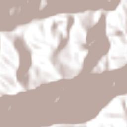 Tonalixco Terrain Map