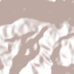 Zapotitlán Terrain Map