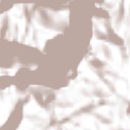 Ignacio Allende (Concepción) Terrain Map