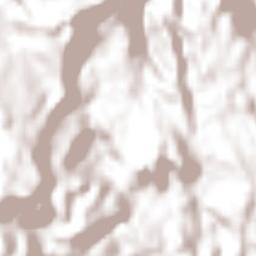 Zoquiopan Terrain Map