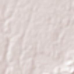 Colonia las Palmas Campamento SAGAR Terrain Map