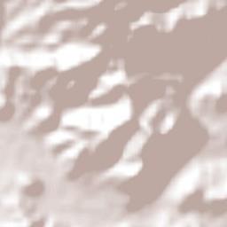 Tomatlán Terrain Map