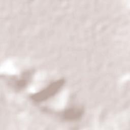 Tamándaro Terrain Map