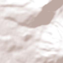 Fraccionamiento Ex-Hacienda el Refugio Terrain Map