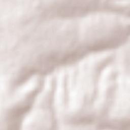 Tziritzícuaro Terrain Map