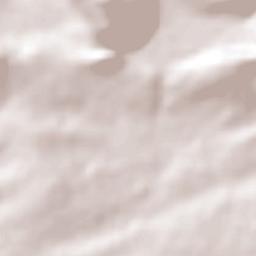 Atotonilco Terrain Map