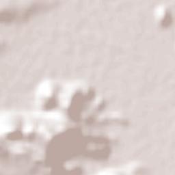 Cerritos de Cárdenas Terrain Map