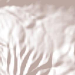 Doxteje Barrio Primero Terrain Map