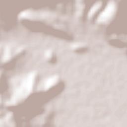 Tixmadeje Chiquito Terrain Map