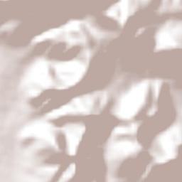 La Caridad Terrain Map