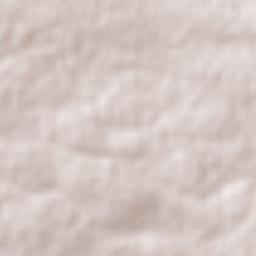 Ejido de Coscomate del Progreso Terrain Map