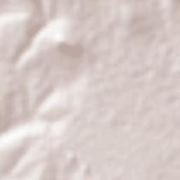 Tlapanaloya Terrain Map