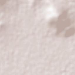 Vicente Guerrero (San Javier) Terrain Map