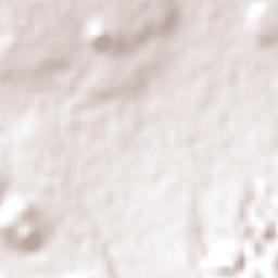 San Pedro Tlaquilpan Terrain Map